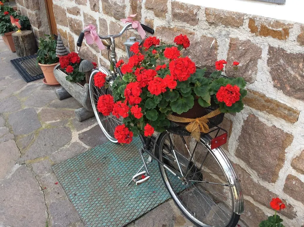 Albergo Sole San Zeno di Montagna Hotel